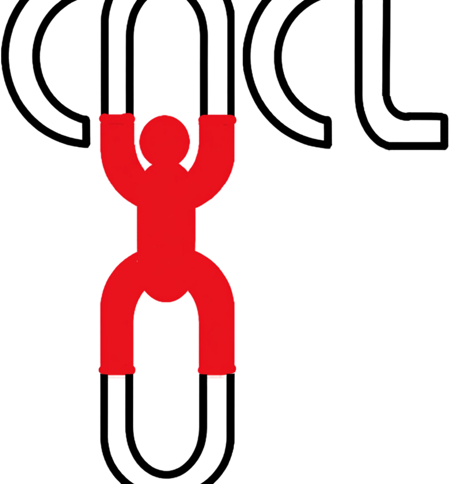 Campaign Against Child Labour (CACL)